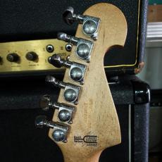 Washburn N4 Vintage_12