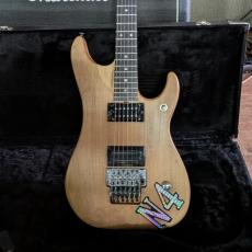 Washburn N4 Vintage_15
