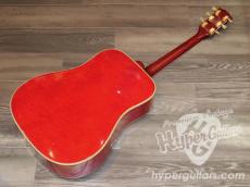 Gibson '64 Dove_2
