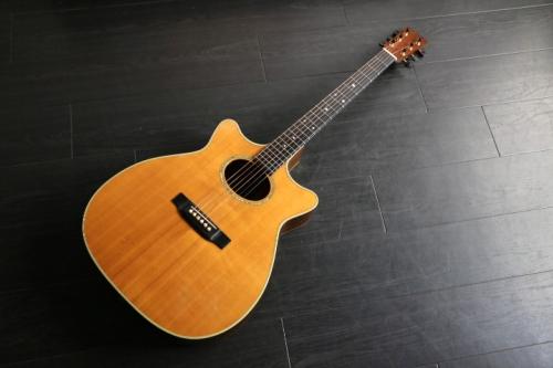 Martin M2C-28( Double Cutaway D-28) 　大幅値下げです