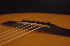 Larrivee O-01_7