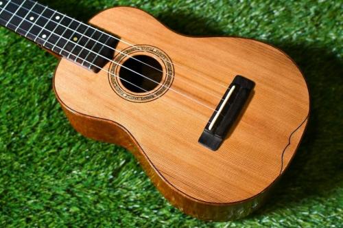 Antar 屋久杉×Cuban Mahogany Small Concert
