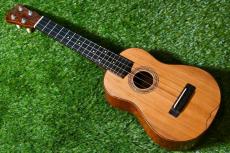 Antar 屋久杉×Cuban Mahogany Small Concert_2