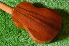 Antar 屋久杉×Cuban Mahogany Small Concert_3