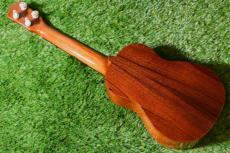 Antar 屋久杉×Cuban Mahogany Small Concert_4