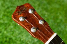 Antar 屋久杉×Cuban Mahogany Small Concert_5