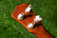 Antar 屋久杉×Cuban Mahogany Small Concert_6