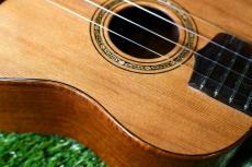Antar 屋久杉×Cuban Mahogany Small Concert_10