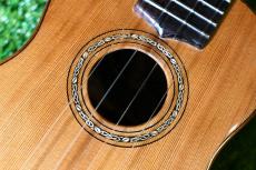 Antar 屋久杉×Cuban Mahogany Small Concert_11