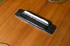 Antar 屋久杉×Cuban Mahogany Small Concert_12