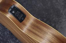 Taylor 【NAMM 発表モデル 限定カラー】GS Mini-e Sunset Fade_9