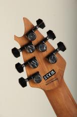 EVH Wolfgang WG Standard QM Chlorine Burst 【S/N ICE2400602】_8
