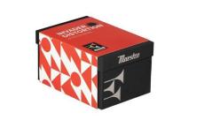 Maestro Invader Distortion_2