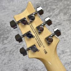 Paul Reed Smith [PRS] SE Custom 24 Quilt / Blue FADE　【現物画像】_10