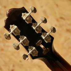Epiphone Masterbilt Tudor_9