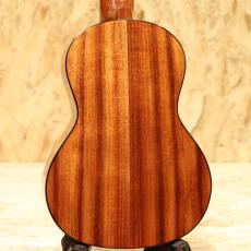 T.Furubayashi KC-04UK Concert 2020's_2