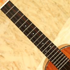 T.Furubayashi KC-04UK Concert 2020's_6