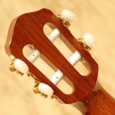 T.Furubayashi KC-04UK Concert 2020's_9