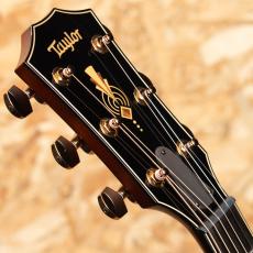 Taylor C24ce Grand Auditorium Custom_8