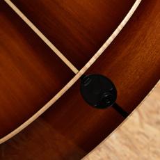 Taylor C24ce Grand Auditorium Custom_11