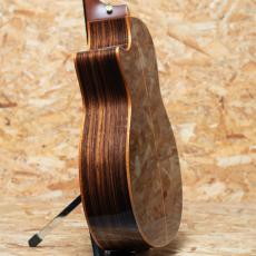 Taylor C14ce Grand Auditorium Custom_5