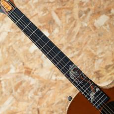 Taylor C14ce Grand Auditorium Custom_6