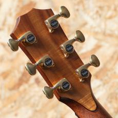 Taylor C14ce Grand Auditorium Custom_9