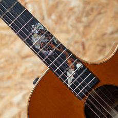 Taylor C14ce Grand Auditorium Custom_10