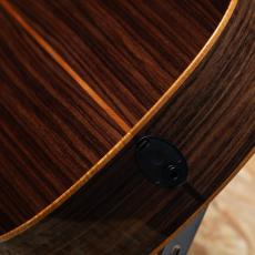 Taylor C14ce Grand Auditorium Custom_11
