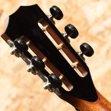Taylor C12ce 12-Fret Grand Concert Custom_9
