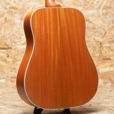 Gibson Hummingbird Faded_2