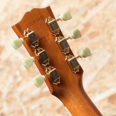 Gibson Hummingbird Faded_9