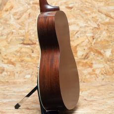 Waterloo by Collings WL-14X Longhorn 2010's_5