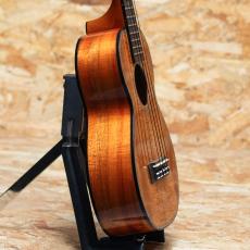 Kamaka HF-2 D2 Concert_4