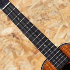Kamaka HF-2 D2 Concert_6
