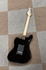 SCHECTER OL-AR-TM-2H_3