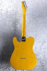 Fender American Professional Classic Telecaster / Butterscotch Blonde #US26026959 [3.25kg]_3