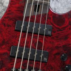 Ibanez EHB1505 - Stained Wine Red Low Gloss - 【3.13kg】【#I250214600】_5