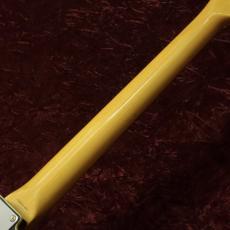Fender Japan TL62B-TX_6