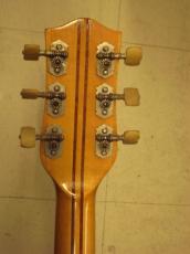 Hofner Club60 (1960)_6