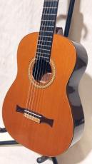 Guitarra Tamura （田村廣）  LP50_5
