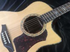 Bromo Guitars BAN2CE _3