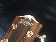 Bromo Guitars BAN2CE _7