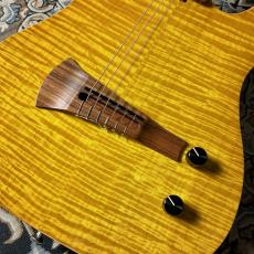 Sadowsky NYC Electric Guts CMB / Caramel Burst 2022_4