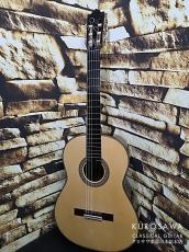 Paulino Bernabe [パウリーノ・ベルナベ] Especial エスペシャル 松 2026年最新作【日本総本店2F 在庫品】_3
