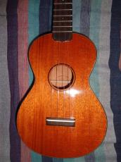 SAKATA GUITAR UC-1_3