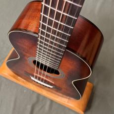 K.Yairi RAG-65V Custom_4
