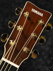 YAMAHA LJ16 ARE Natural BS【オンラインストア限定】_5