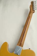 Fender 【ギグバッグキャンペーン対象】Player II Telecaster Roasted Maple Neck  Butterscotch Blonde ≒3.68kg _7