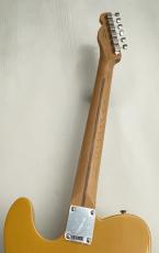 Fender 【ギグバッグキャンペーン対象】Player II Telecaster Roasted Maple Neck  Butterscotch Blonde ≒3.52kg _8